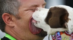 Zakaj pes liže obraz in lastnik roke?