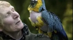 Izbor najstarejših živali, ki živijo na zemlji