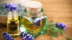 Priljubljena olja iz uši in gid