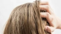 Vrstni red uporabe nuduch facte zadnjega in gdid