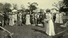 Britanske in škotske pasme mačk: skupne značilnosti in razlike