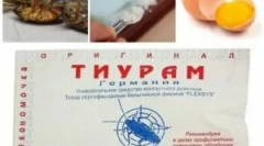 Tyramski prah iz ščurkov