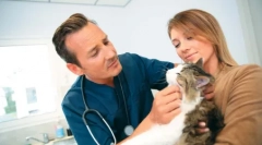 Nenehno razširil učence mačjega, zakaj se to zgodi, kaj storiti