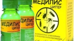 Priprava medilis, njene vrste in navodila za uporabo