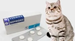 Priprava iz parazitov vermoks: navodila za uporabo za otroke