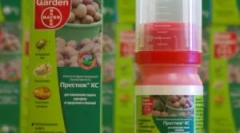 Prestige: imenovanje in pravila