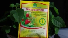 Priprava triphodermin in navodila za njegovo uporabo