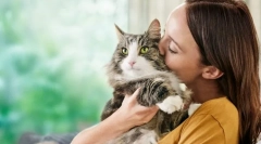 Vzroki alergij na mačke