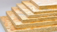 Vzroki, zakaj so ščurki izginili