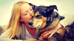 Zavetišče za pse v moskvi in ​​moskvi regiji. Dajte svojemu življenju prijatelju