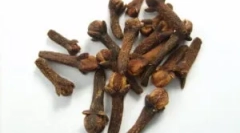 Uporaba nageljnov iz parazitov