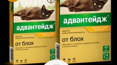 Uporaba prednosti drog (advanda) za mačke