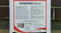 Uporaba zdravila fufanon iz bedbugs