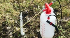 Uporaba v vrtnarstvu iron epipanja