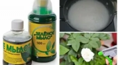 Uporaba zelenega mila iz škodljivcev