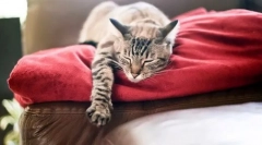 Težave z nočno posteljo