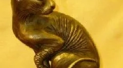 Izvor domače mačke