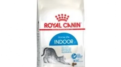 Enostavne mačke: zakaj jih tako veliko ljubimo