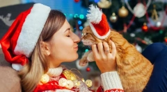 Srečno novo leto, mačka! 14 novoletne darilne ideje za mačke