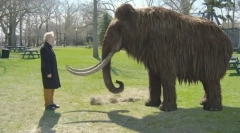 Dobrodošli nazaj: 10 izumrlih živali, ki se lahko kmalu vrnejo