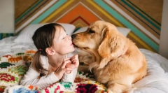 Najbolj ljubeče pasme psov na svetu