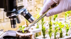 Izbira, njegove naloge, metode in praktični pomen