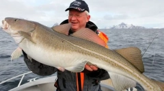 Severni ribolov riba