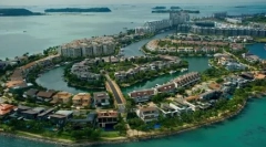 Singapur: lastnosti pasme in pravila o vsebini