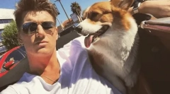 Kakšna pasma je osvojila srce alexey vorobyova?