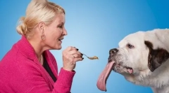 Pes z najdaljšim jezikom na svetu