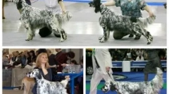 Dmitry medvedjev dogs in mačke: ki živi v politiki