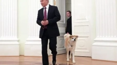 Ruski predsednik vladimir putin psi
