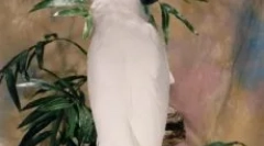Moderni papage: video posnetki, kjer perje plešejo pod slogom opa ganges