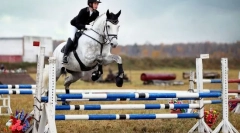 Športniki, umetniki, reševalci