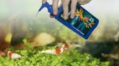 Orodja za akvarij. Chemistry, vitamini, klimatske naprave