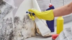 Orodja za odstranjevanje plesni (gliva plesni)