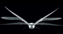 Top 10: zanimiva dejstva o seagulls