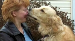 Top 10 najbolj pogumnih živali