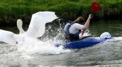 Top 10: šokantno nevarne živali