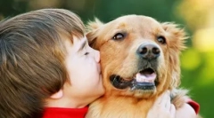 Top 10 stvari, ki sovražijo pse