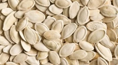 Top 10 živali, ki se bojijo žensk