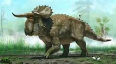 Herbivore dinozavri
