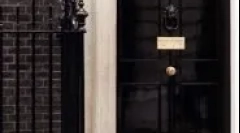 V katerih državah so mačke enotne in so v službi