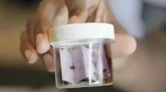 Vrste in princip delovnih postelj za bedbugs