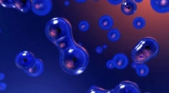 Razmnoževanje organizmov