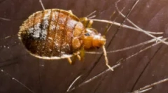 Škoda in nevarnosti, ki izhajajo iz napak