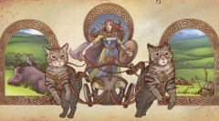 Vse o evropskem shorthair cat