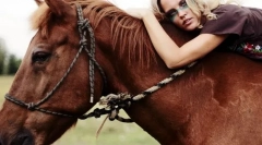 Človeška interakcija in konj