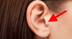 Zakaj mačke žep na ušesih