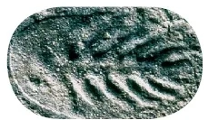 Živali v nendendijskem obdobju